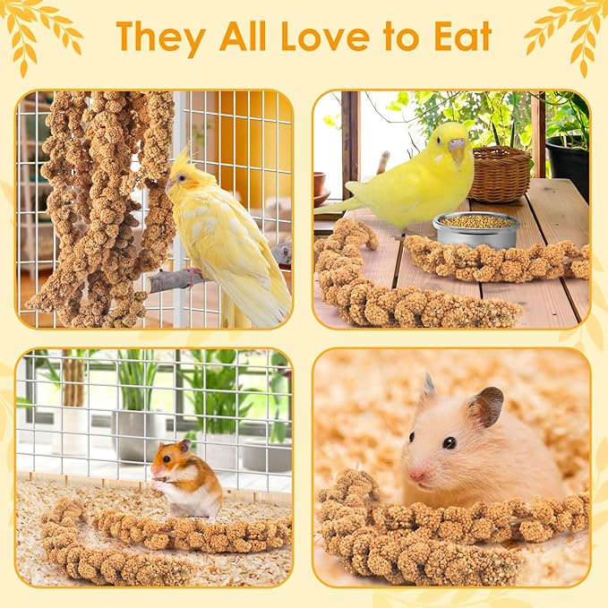 KATUMO 1.1LB Spray Millet Treat for Birds, Natual Sun-Dried Bird Millet Parrot Food for Parakeet Budgie Cockatiel Finches Lovebird Conure Parrots Hamster