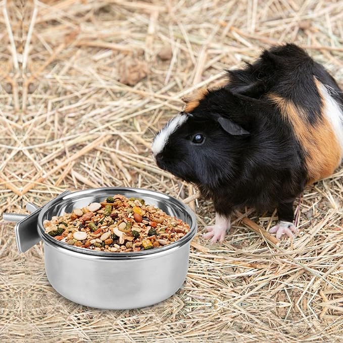 Hypeety Stainless Steel Food Water Bowl for Pet Bird Crates Cages Coop Dog Cat Parrot Bird Rabbit Pet 2PCS (Small,3.9 * 1.9in)