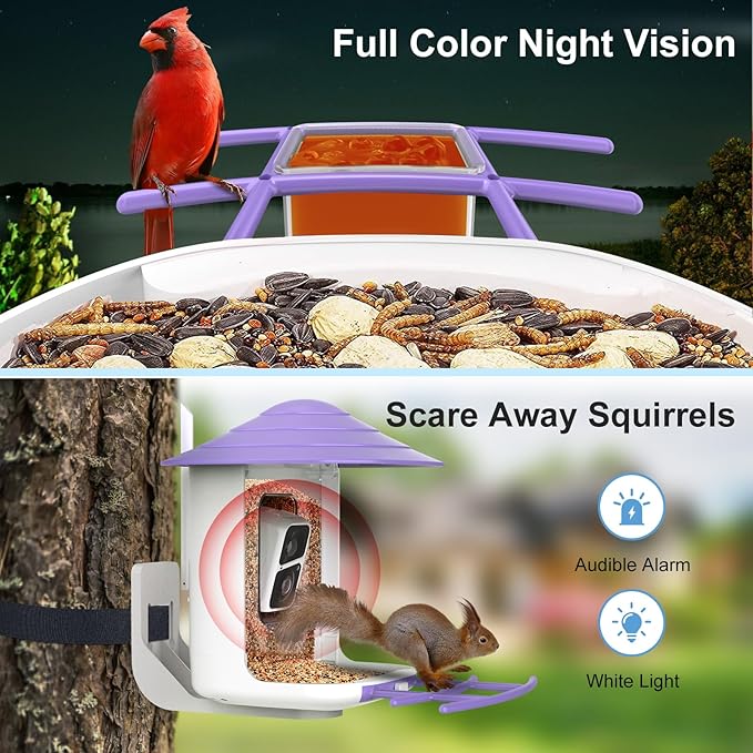 birdsnap® TUC Bird Feeder with Camera 2K HD Live with 32GB Card Auto Detect & Notify AI Identify Camera Birds Feeders Solar Powered Wireless Outdoors Backyard Gift for Mom Dad Birds Lover, 2.4G WiFi
