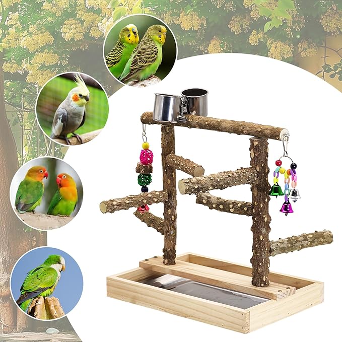 BNOSDM Natural Wood Bird Playground for Training & Playing, Parrot Perch Stand Jungle Gym with Detachable Tray & Stainless Feeder Cups Parakeet Cage Playstand for Budgie, Cockatiel, African Grey