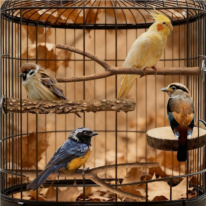 Bird Cage Stand Perches - 4pcs Natural Birds Hanging Wood Platform Multi-Branch Perches for Macaws Conures Budgies Parakeets Parrot Cage Accessories