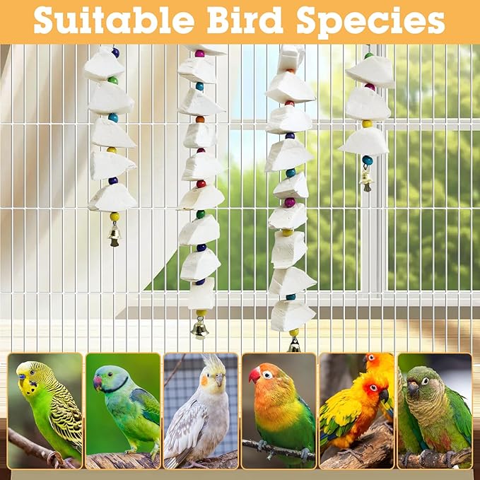 BNOSDM Bird Toys with Cuttlebone 4 Pack Hanging Cuttle Bone Chew Toys Natural Bird Beak Grinding Stone Parakeet Calcium Toys Bird Cage Accessories for Budgies Cockatiels Lovebirds Conures Parrots (9)