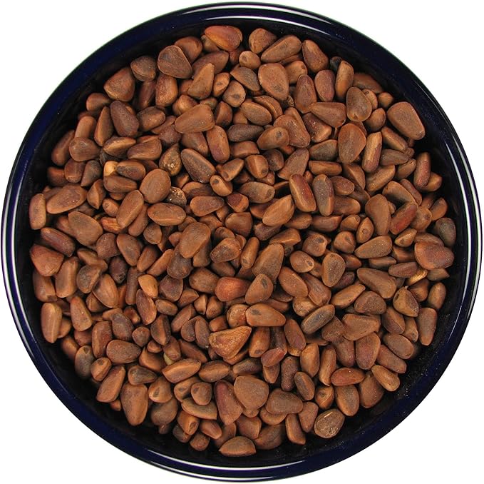 SLEEK & SASSY in-Shell Pine Nuts for Birds (32 oz.)