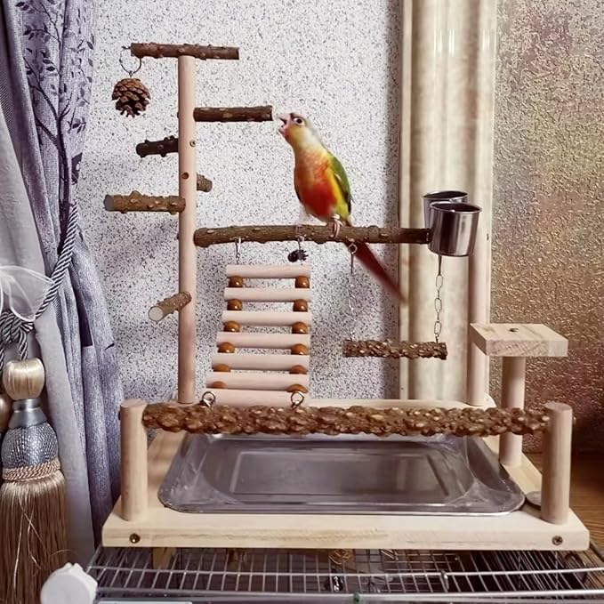 Bird Playground with Feeder Cups, Wooden Parrot Play Stand for Cockatiel, Parakeet