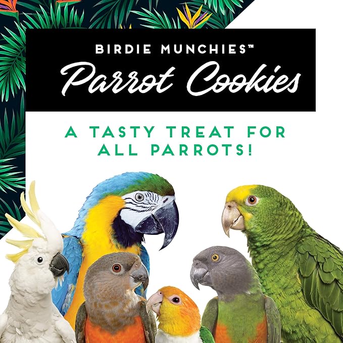 Oven Fresh Bites Natural Baked Treats, All-Natural Bird Treat Parrot Cookies, 4 Oz, Almond/Peanut Butter/Corn Fritter, 3-Pack