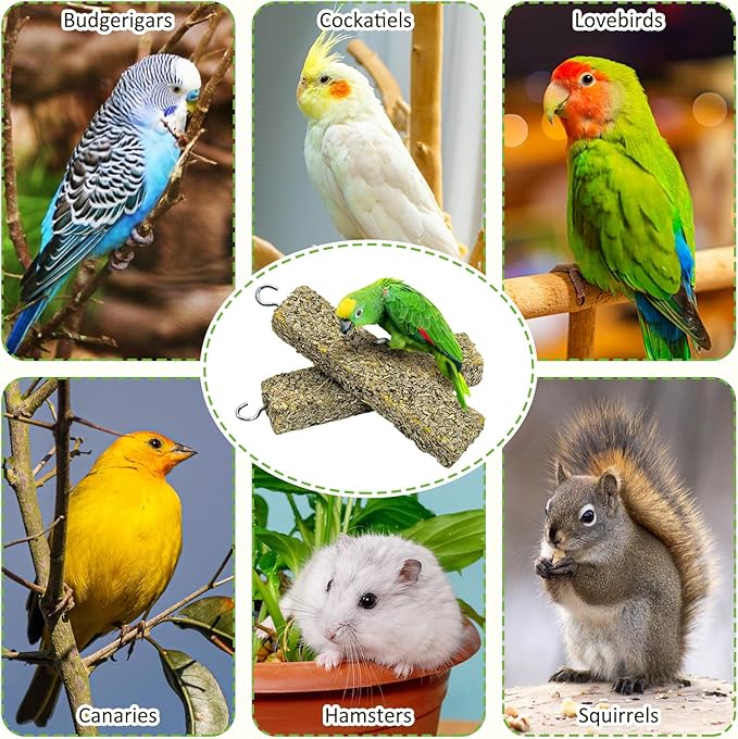 Fhiny 2 PCS Parakeet Treats, Natural Cockatiel Food Eucalyptus Leaves Mixed Grains Parrot Snack Sticks Bird Treats for Budgerigars Lovebirds Canaries Conurus Finches