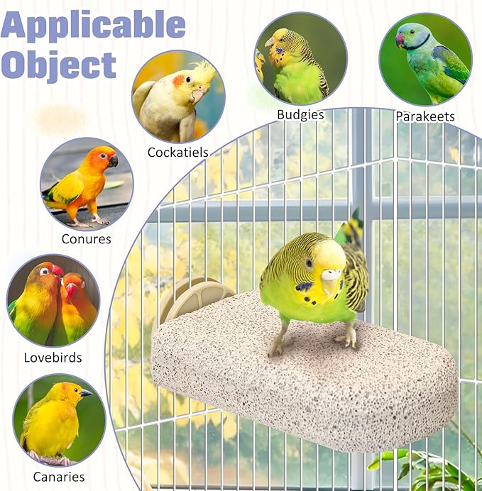 BNOSDM 6 Pcs Large Natural Parrot Beak Grinding Stone Parakeet Chew Toy Calcium Parrot Perch Stand Bird Cage Accessories for Budgies, Cockatiels, Conures, Lovebirds, Canary
