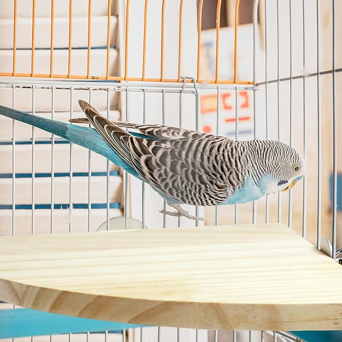 Bird Perches Platform Stand,Birds Platform for Cage,Wooden Perch Corner for Parrots,6.7 Inches Fan Shape Wooden Small Animals Cage Accessories