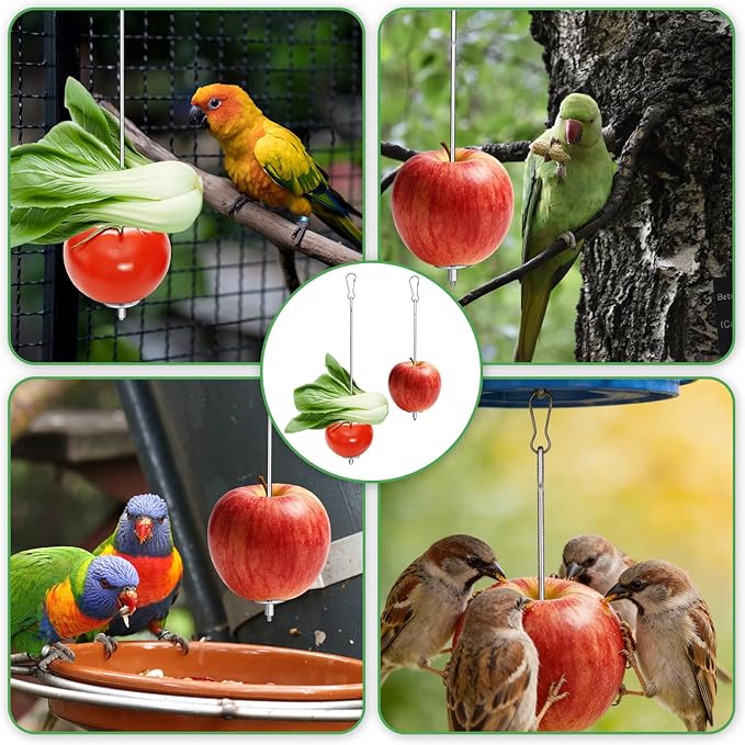 4PCS Bird Cage Food Holder, Stainless Steel Bird Feeder for Cage with Hook, 22cm/17cm Parrot Fruit Skewers, 2 Sizes Hanging Foraging Toy for Macaw Parakeet Parrot Budgie