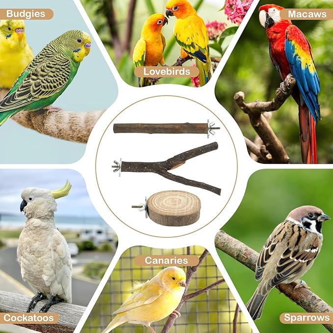 8 PCS Bird Perches for Cage, Natural Wood Parrot Perch Stand, Multi-Branch Platform with Fork Toys, Birds Cage Accessories for Parakeet Cockatiel Budgie Conures Lovebirds
