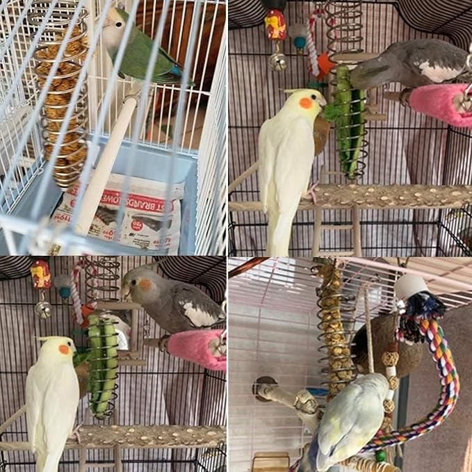 Bird Foraging Toy Feeder Parrot Treat Fruit Vegetable Seed Holder Feeder Food Basket Tool Stainless Steel Cage Accessories for African Grey Conure Parrots Cockatoo Parakeet Cockatiel