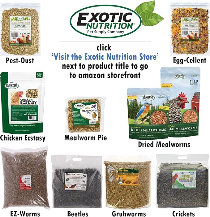 Dried Mealworms - 100% Natural, Non-GMO, High Protein, Bulk Insect Treat for Chicken, Laying Hen, Chick, Wild Bird, Bluebird, Duck, Goose, Turkey, Chickadee, Titmice, Wren, Reptile, Fish (11 lb.)