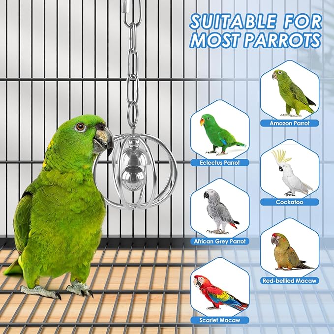 DBNESS Heavy-Duty Stainless Steel Bird Toy for Parrots, Durable Hollow Foraging Ball with Detachable Chain, Chew-Proof Parakeet Training Toys for Macaws, Amazons, Eclectus, African Greys, Cockatoos