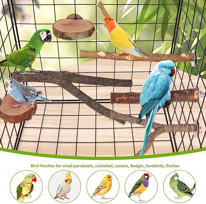 12PCS Natural Wood Bird Perches for Cage, Parrot Perch Stand & Platform, Bird Cage Accessories - Multi-Size Perches for Parakeets, Cockatiels, Conures, Lovebirds