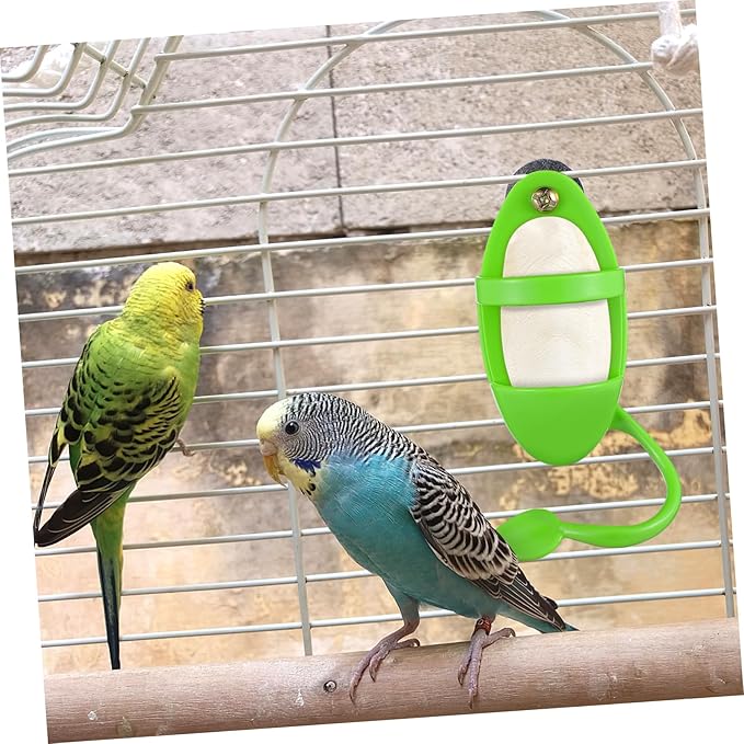 2pcs Bird Cuttlebone Holder with Perches Plastic Cuddle Bone Feeding Racks Parrot Cage Stands Accessories for Cockatiels Parakeets Finches Green