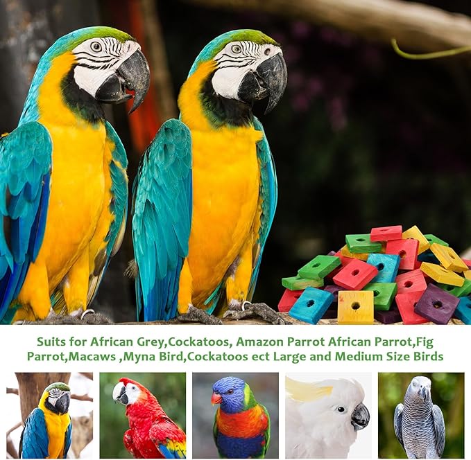 Sumind 80 Pieces Bird Toy Wooden Blocks Parrot Chewing Toys Mini Wood Chips Small Animals Cage Accessories for DIY Playing Chewing Shredding Mixed Large Bird Toys, Random Color