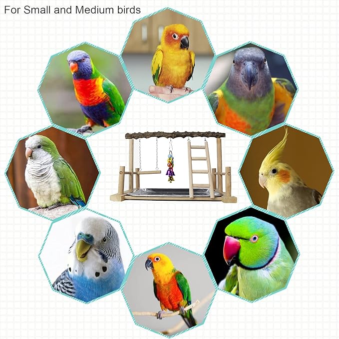 kathson Bird Playground,Parrots Play Gym,Parakeet Play Stand with Prickly Ash Wood Perch,Cockatiel Playstand with Feeder Cups and Exercise Toys,Birds Perch Stand for Budgie Conures Cockatoos Lovebirds
