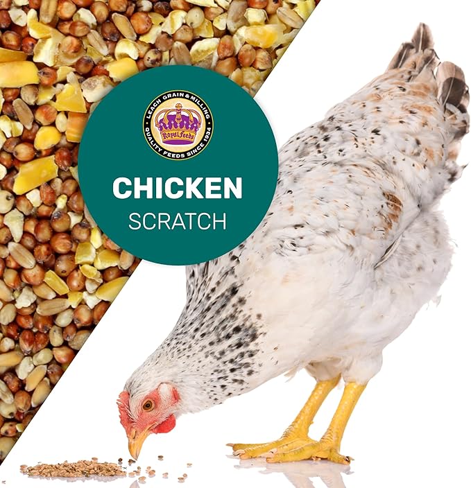 LEACH GRAIN & MILLING CO. Chicken Scratch 5 Lbs, Natural Chicken Treats for Laying Hens - Healthy Whole Grains, Chicken Food and Supplies for Daily Energy, Growth & Digestive Health