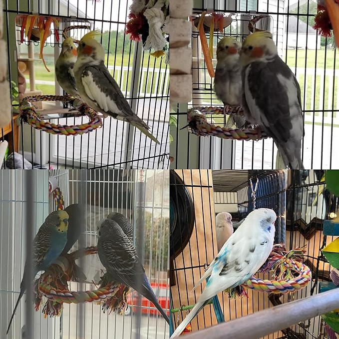 Colorday 7" Bird Mirror for cage with Rope Perch, Bird Swing, Parrot Cage Toy for Parakeet Budgie African Grey Conure Cockatiel Lovebird Finch Canarie, Medium