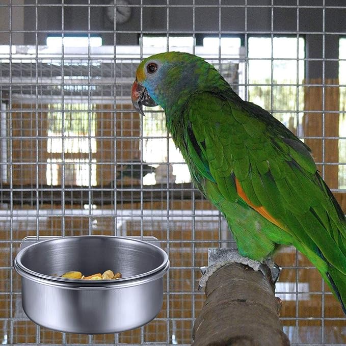 2 Pack Bird Food Bowl with 1 Fruit Skewer Holder, Stainless Steel Parrot Feeder with Clamp for cage,Stainless Steel Bowls for Cats and Dog, Bird Cage Food Water Bowls
