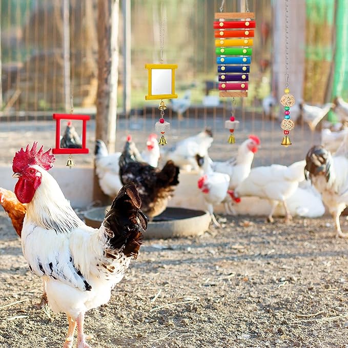 Sumind 6 Pieces Chicken Mirror Chicken Toys for Coop with Bells, Hen Xylophone Toy with 8 Metal Keys, Parrot Grinding Stone, Sepak Takraw Toy, Dangling Bird Toy