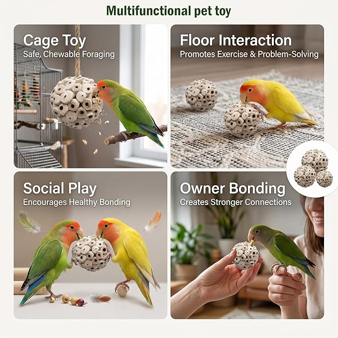 6PCS Sola Ball Bird Toys Bird Foraging Toy Natural Sola Plant Material for Small Birds Parakeets,Conure,Love Birds and Hamsters Small Pets,2.36inch Natural Sola Atta Balls for Pet Chew Toys