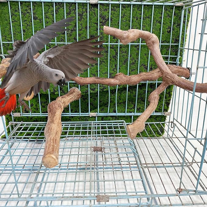 4-Piece Bird Perch - Natural Grapevine Stick Swing Chewing Toys for Parrot Cages, Cockatiels, Parakeets, Finches