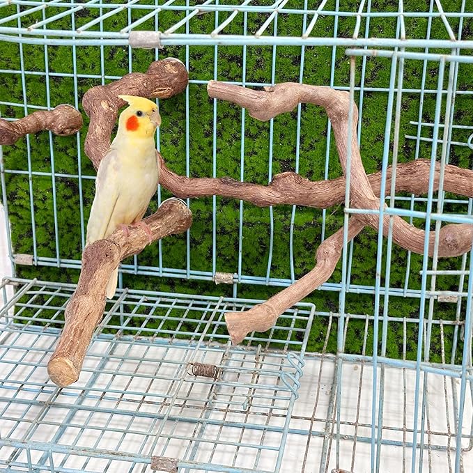 5 PCS Natural Grape Stick Perch Swing Chewing Toys for Parrot Cages, Cockatiels, Parakeets, Finches - Bird Standing Stick
