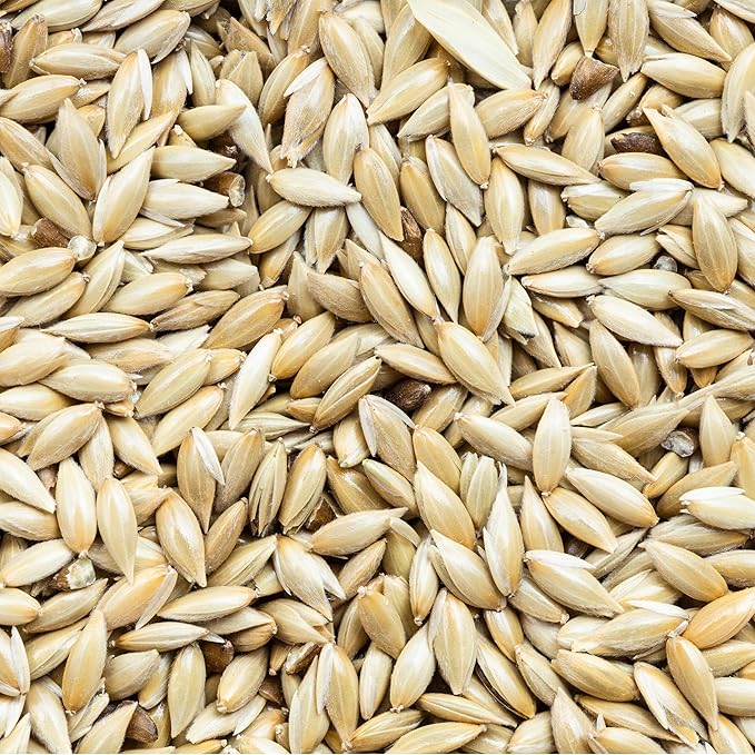 Unida Alpiste Canary Seed for Birds – 10 lbs Bulk Bird Food, 100% Pure & Natural, Non-GMO Bird Seed, No Additives