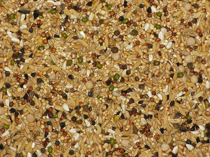 Exotic Dove, 2 kg (4.4 lbs) Pour Spout Bag