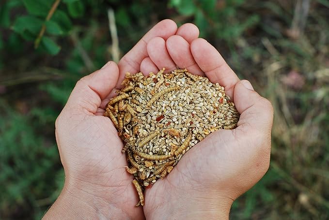 Chickie Garden Picnic Non-GMO, Soy-Free Chick Treats | Premium Poultry Meal Worm & Herb Mix | 3 lbs