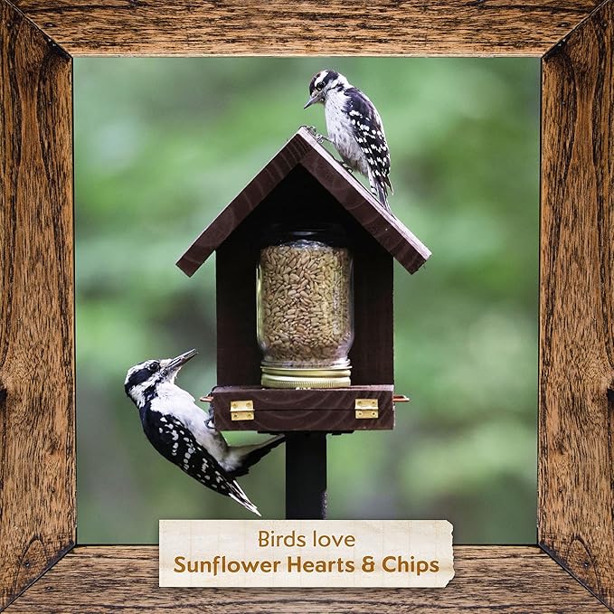 Morning Song Sunflower Hearts & Chips Wild Bird Seed – 10 lb. Premium No Mess, Shell-Free Bird Food for Outside Feeders