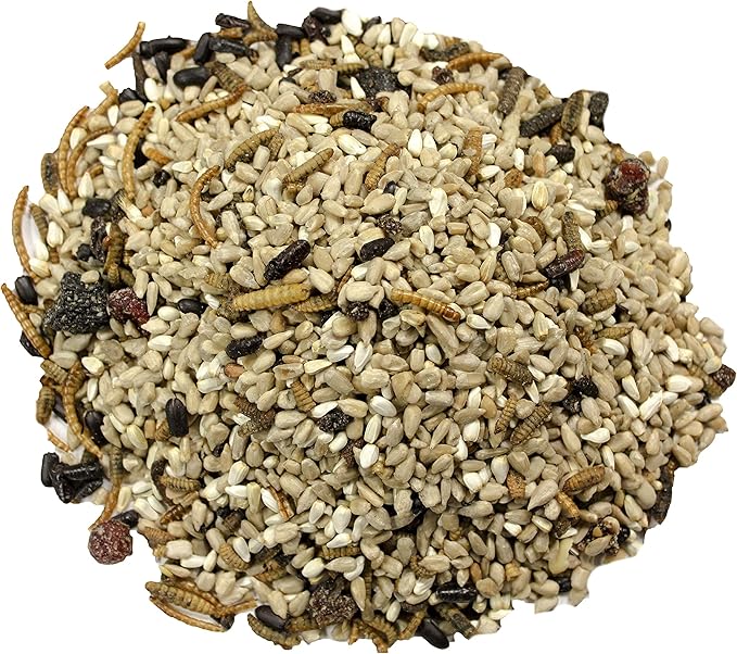 Wild Delight Advanced Formula Bugs N Berries Wild Bird Food 4.5 lbs (Pack of 2)