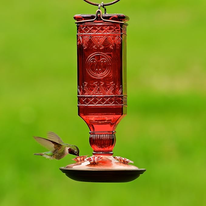 Perky-Pet 8116-2 Square Antique Glass Bottle Hummingbird Feeder - Outdoor Garden Decor, Unique Gifts