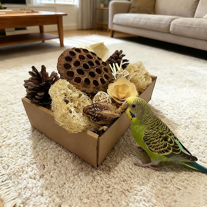 Bird Toys - Lotus Pod Foraging Box, 10 Natural Ingredients | Chewing and Shredding Parrot Toys | Ideal for Parakeets/Cockatiels/Conures/Lovebirds and Small to Medium Birds