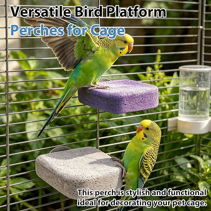 8Pcs Bird Beak Grinding Stone,Rough-Surfaced Grinding Stone,Calcium Mineral Bird Perch,Beak & Claw Trimming Accessory,Natural Chewing Toys for Budgie Cockatiel Conure Lovebird Finch Small Medium Birds