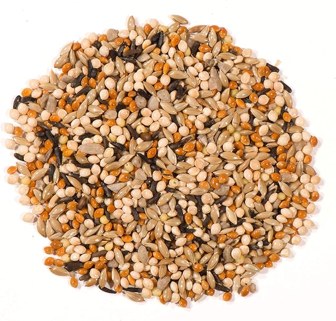 Nature's Nuts Premium Wild Finch Blend - 10 lb.