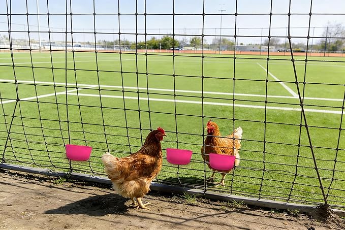 Cage Cups for Chickens 5 Pcs Hanging 25oz Feeder Waterer,Pink Food Bowl Coop Dish Water Dispenser Drinker Grit Container for Rabbits Birds Pigeon Duck and Small Animals