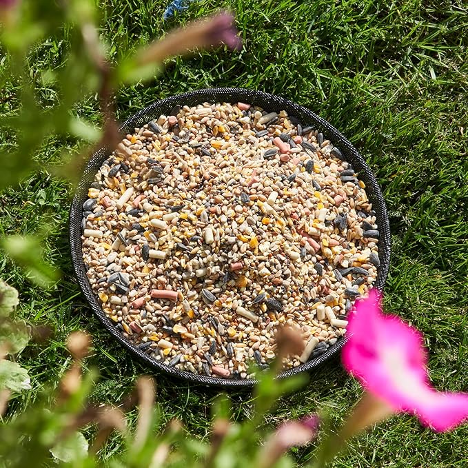 Walter Harrison's Bird Feeding Station Heavy Duty Metal Ground Wild Garden Bird Feeder Black Mesh Feeding Tray - 22 cm