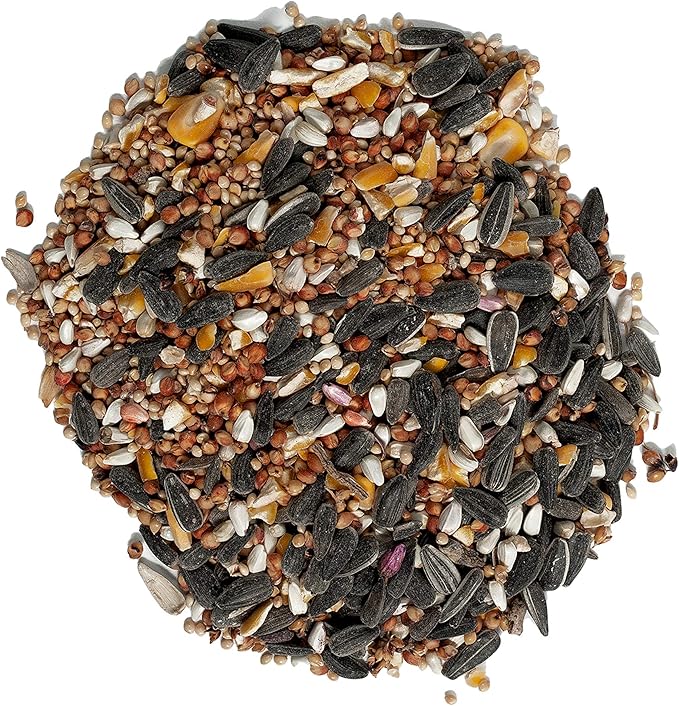 Wagner's 52003 Classic Blend Wild Bird Food, 6-Pound Bag & 62067 Deluxe Treat Blend Wild Bird Food, 4-Pound Bag