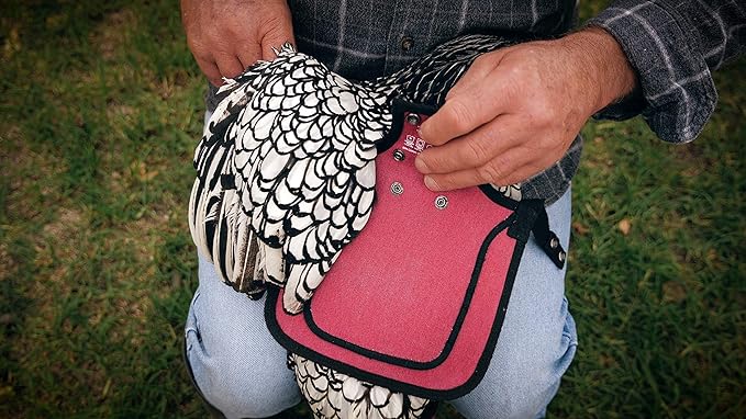 DOWN UNDER OUTDOORS Medium-Large Chicken Saddle with Adjustable Straps, Chicken Apron, Poultry Saver, Pet Supplies, Including Shoulder Cover (Burgundy)