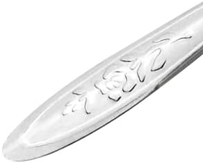 4.7" Bird Parrot Stainless Steel Metal Feeding Spoon,Special Feeding Scoop Medicine Spoons Hand Feeding Spoons for Peony Cockatiel Parrot (3PCS)