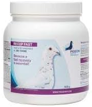 Generic PHP Recup Fast 500g Pigeon Because A Fast Recovery is Essential! Used and Reccomened by JOS THONE