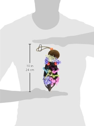 Prevue Pet Products Tropical Teasers Mr. Bean Bird Toy, Multicolor, Small/Medium (Model: 62189)
