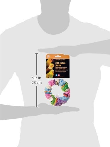 Prevue Pet Products Cal‑Sea‑Yums Dollar Bird Toy - Natural Sea Shell Bird Toy for Parakeets, Cockatiels, Conures, & More, with Quick‑Link Attachment, Hanging Cage Accessories for Small & Medium Birds