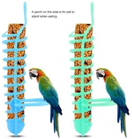 Parrots Feeder Basket, Hollow Baskets Food Fruit Feeding Perch Stand Hanging Fruit Vegetable Container Birds feeders Birds Foods Basket Bird Food Holder (Green)