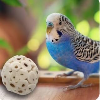 Mini Sola Wood Bird Toy Bunde -Sola Balls & Sola Logs, Shreddable Chew Toys, Foot Toys, Perfect for Small Birds - 10 piece Set (Mini)
