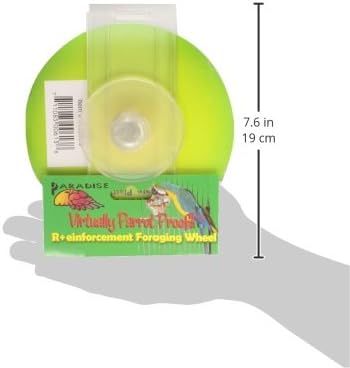 Paradise Toys Bird Creative Foraging System Wheel, Spins with Food Inside, 6” Diameter