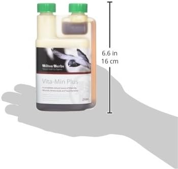 Hilton Herbs 27082 Vita-Min Plus Bird Food Formula, 0.5 Pint