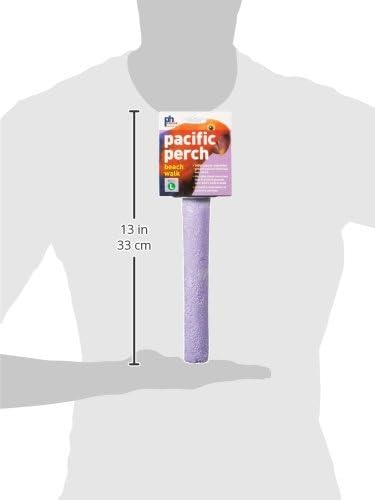 Prevue Pet Products Pacific Perch Beach Walk Large - Natural Seashell Mineral Bird Perch for Cage Accessory, Foot Exercise & Beak Grooming, Medium to Large Birds